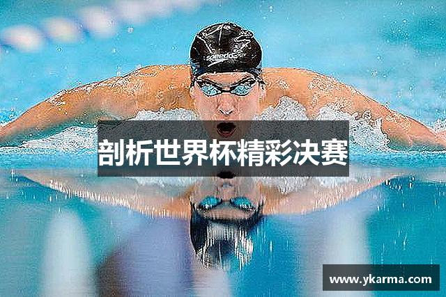 剖析世界杯精彩决赛